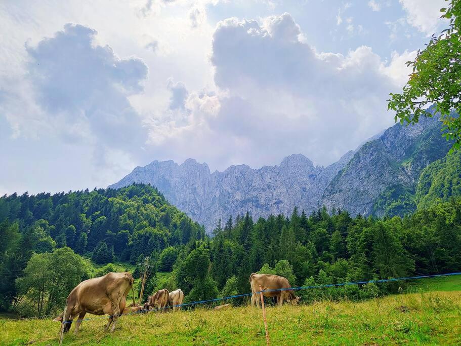 Happy Guest Apartments - Alpin Vista Colere Buitenkant foto